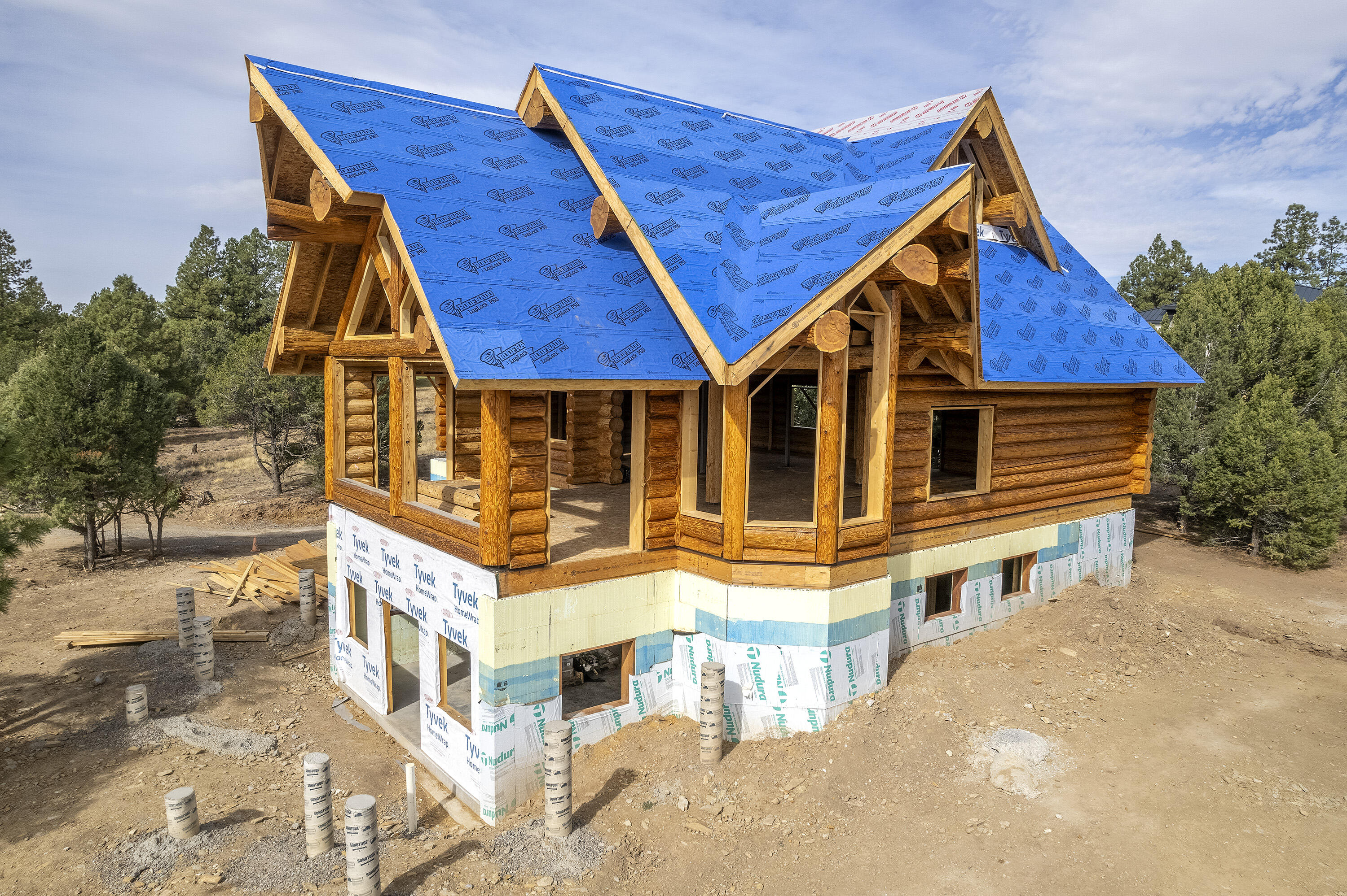 74 White Tail Lane Ridgway, CO 81432 - Photo 12 of 53 74 White Tail Lane w_ Roof_102724_019