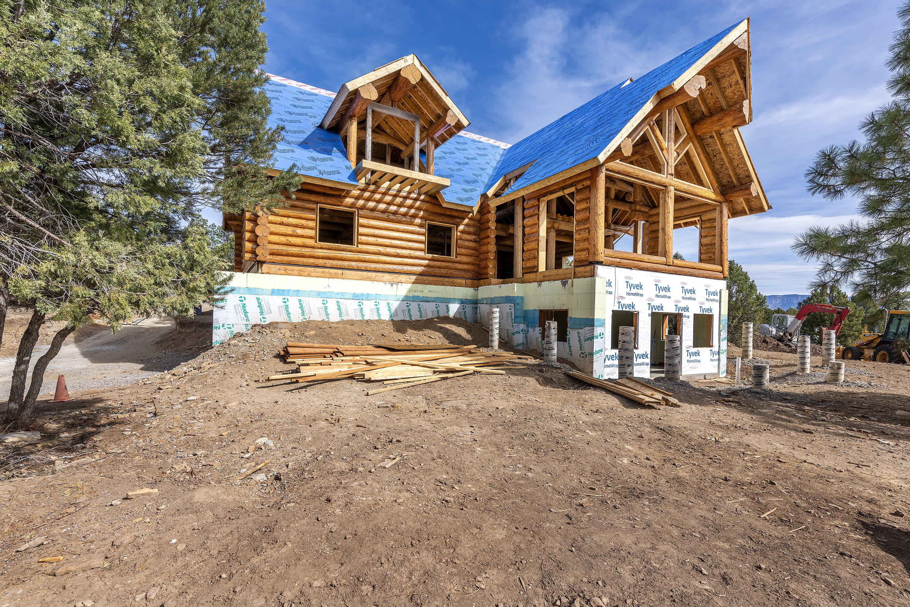 74 White Tail Lane Ridgway, CO 81432 - Photo 13 of 53 74 White Tail Lane w_ Roof_102724_013