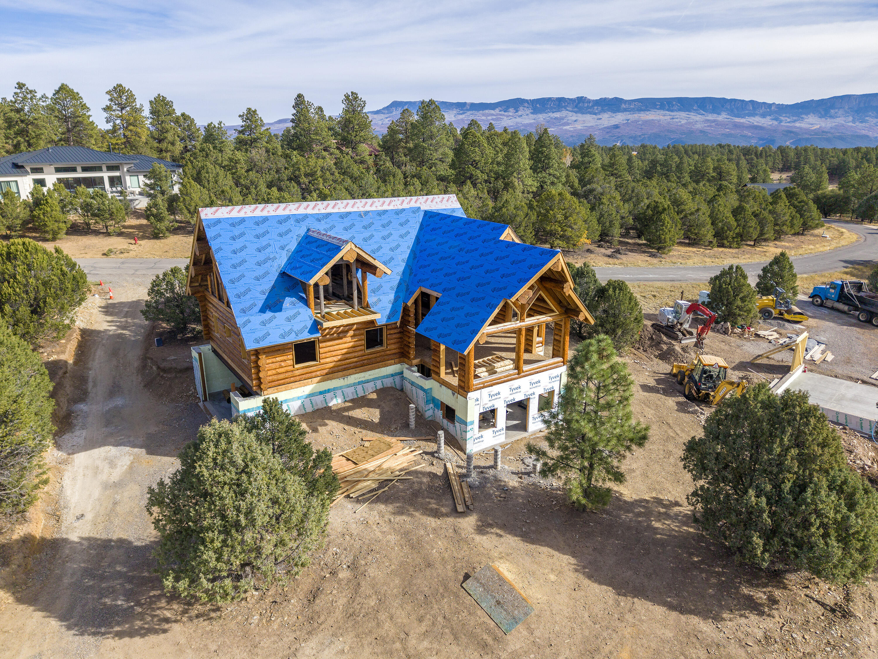 74 White Tail Lane Ridgway, CO 81432 - Photo 14 of 53 74 White Tail Lane w_ Roof_102724_024