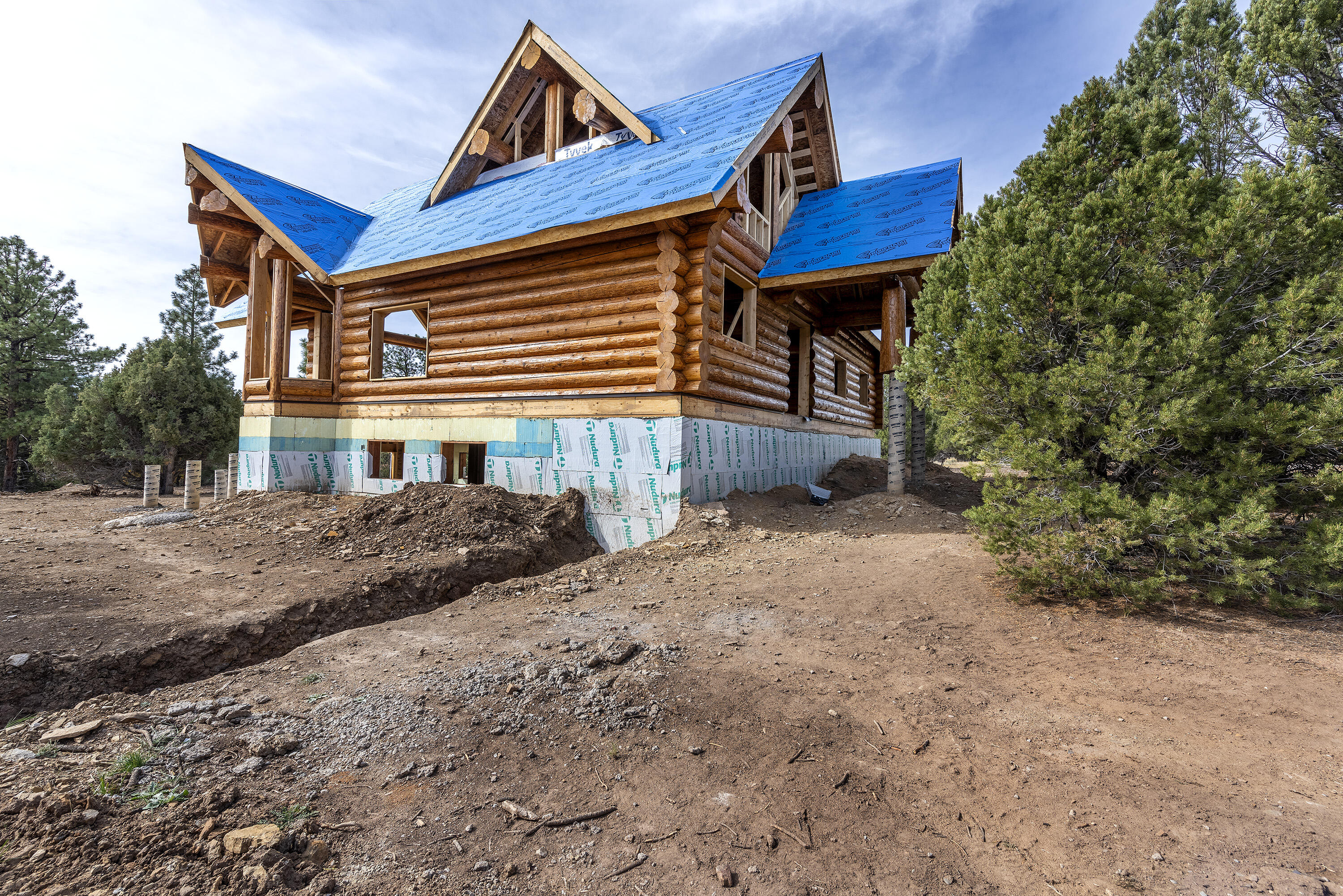 74 White Tail Lane Ridgway, CO 81432 - Photo 16 of 53 a front view of a house with yard and parking
