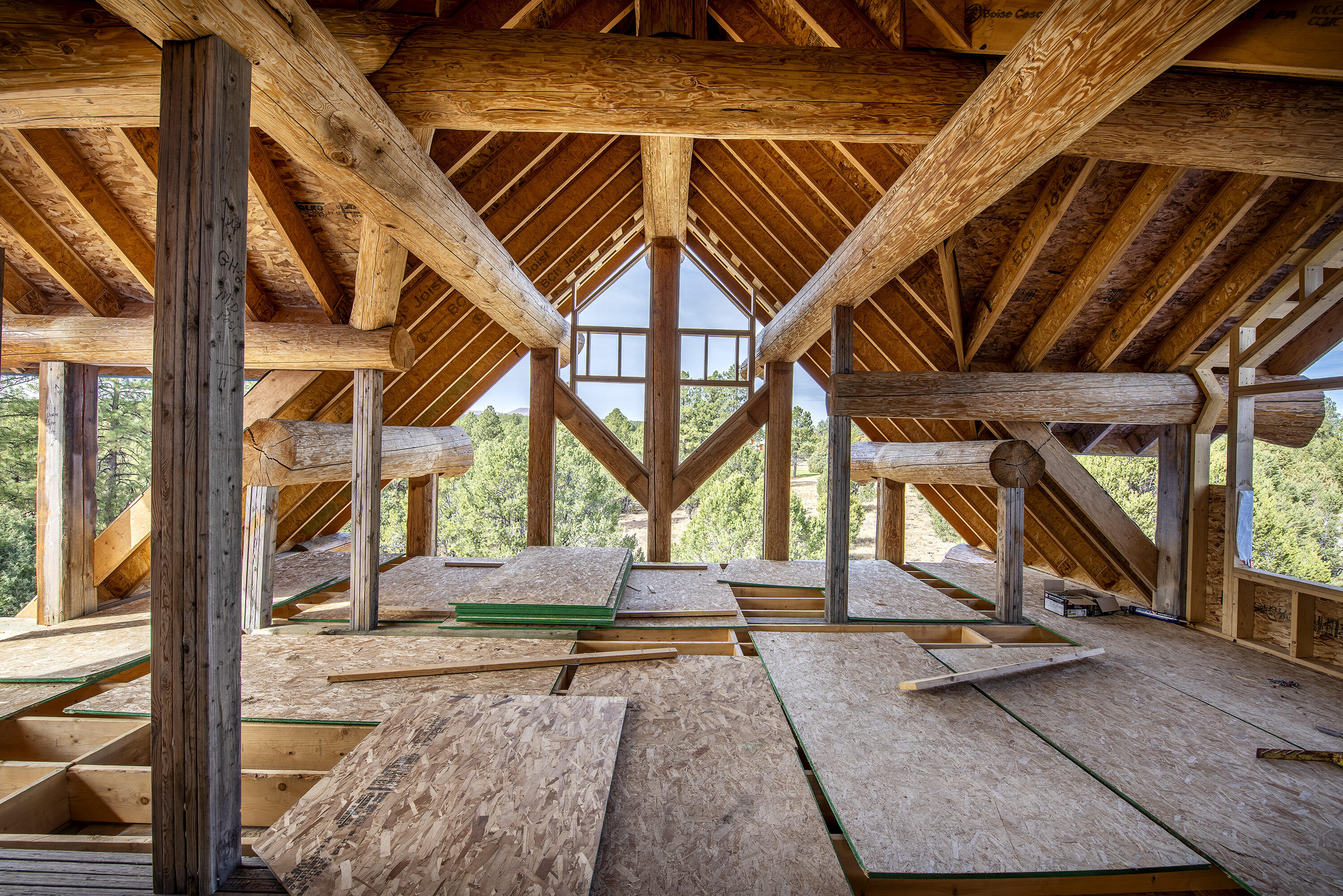 74 White Tail Lane Ridgway, CO 81432 - Photo 40 of 53 a view of an entrance door of the house