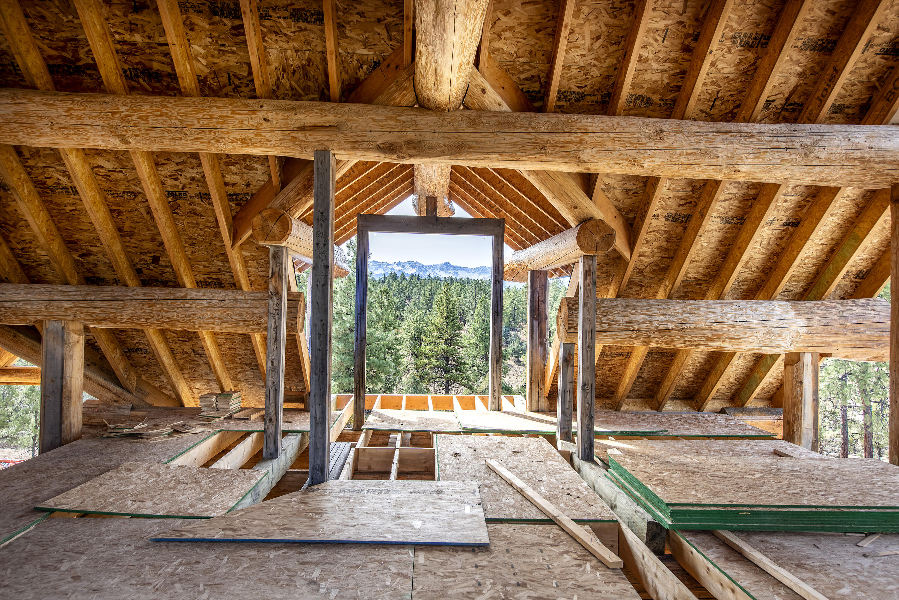 74 White Tail Lane Ridgway, CO 81432 - Photo 41 of 53 a view of outdoor space