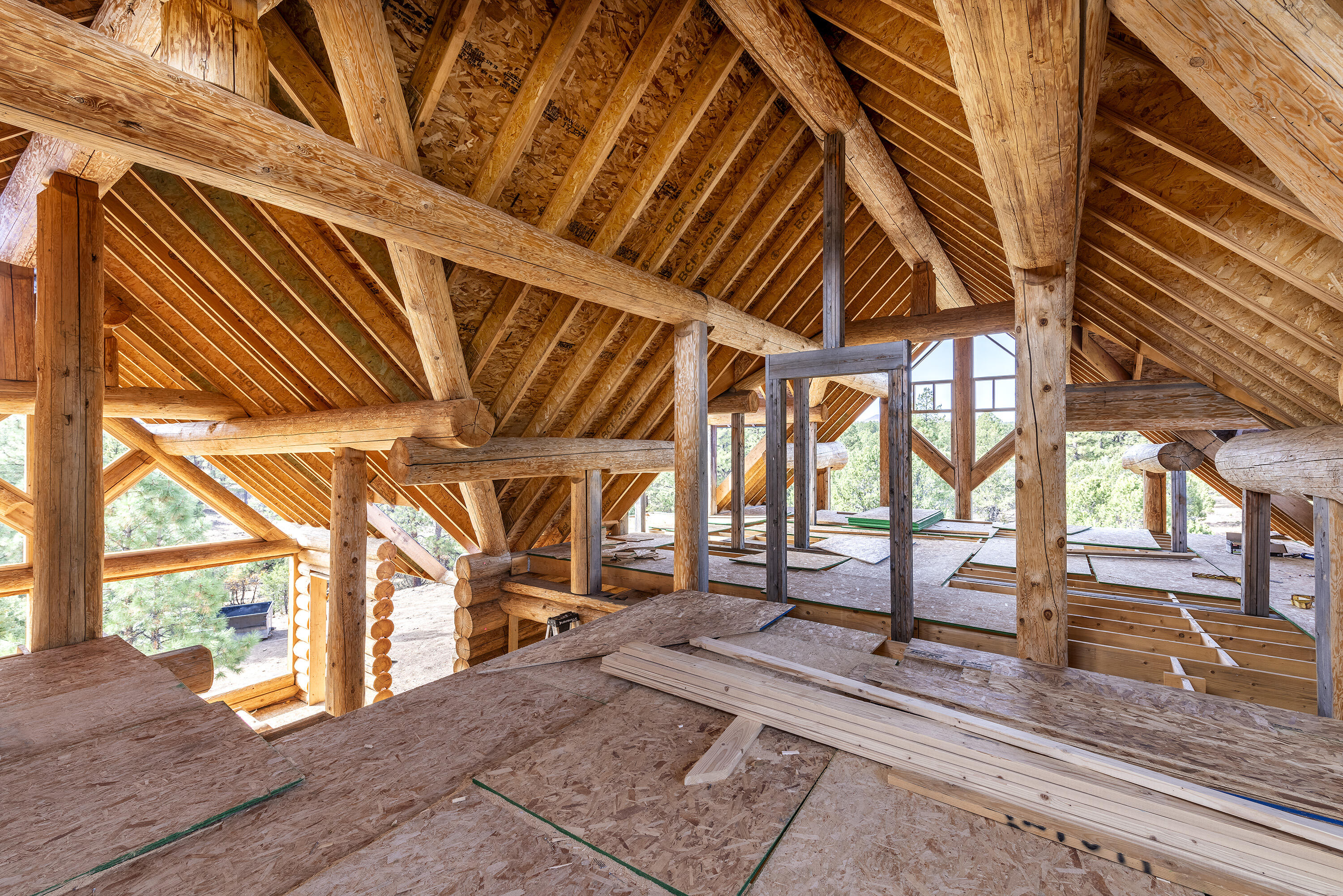 74 White Tail Lane Ridgway, CO 81432 - Photo 43 of 53 74 White Tail Lane w_ Roof_102724_008