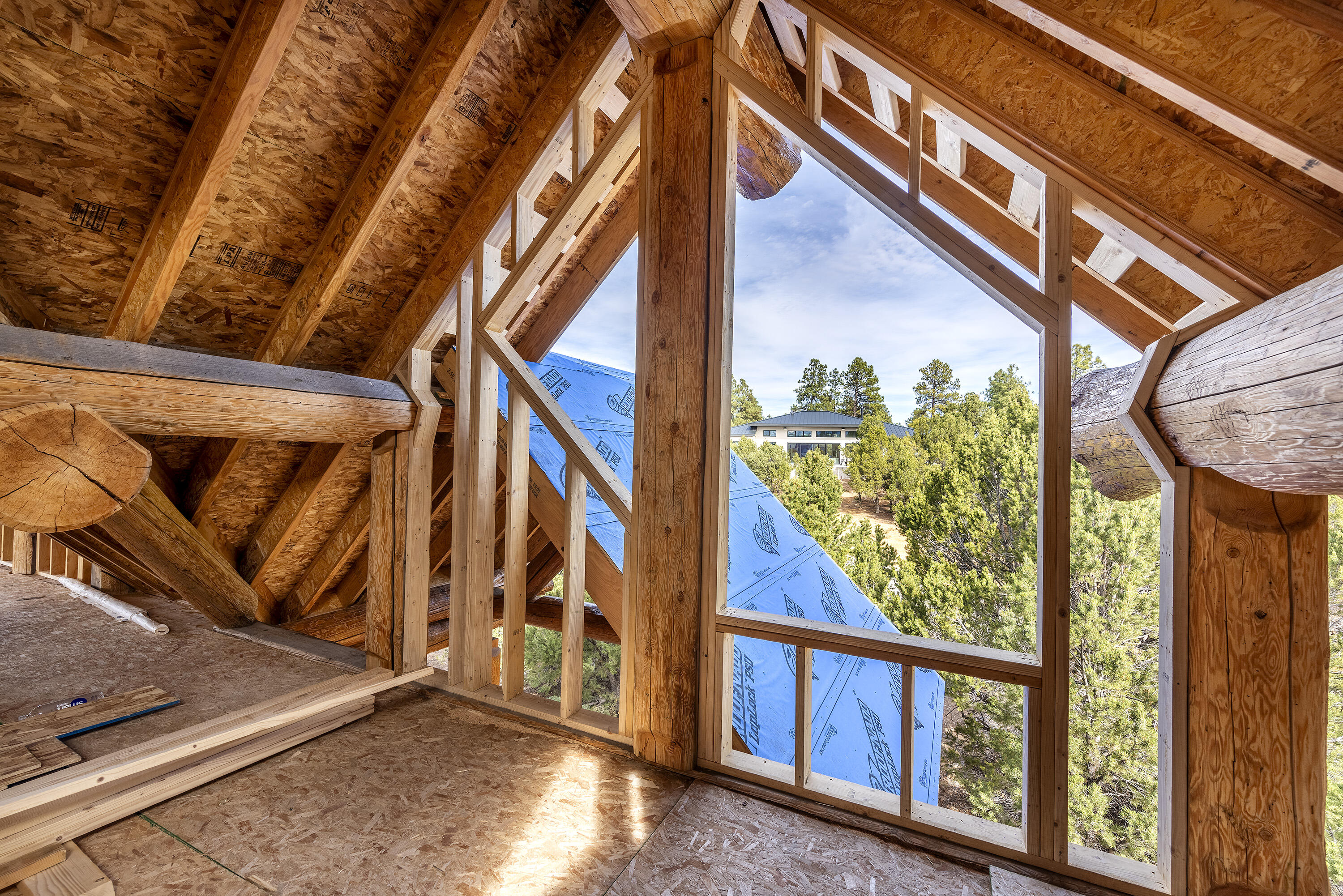 74 White Tail Lane Ridgway, CO 81432 - Photo 45 of 53 a view of an entryway