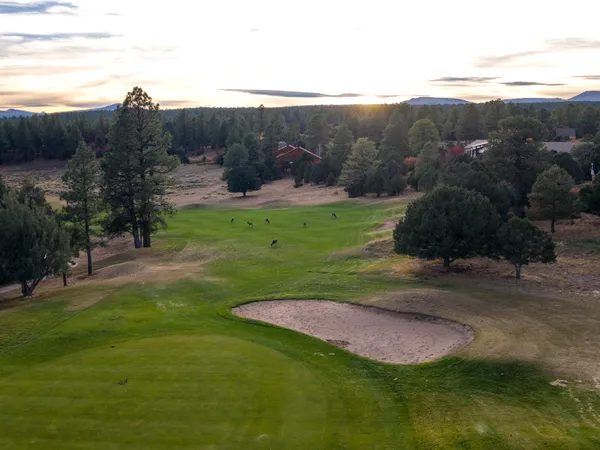 $2,100,000 | 74 White Tail Lane, Ridgway, CO 81432