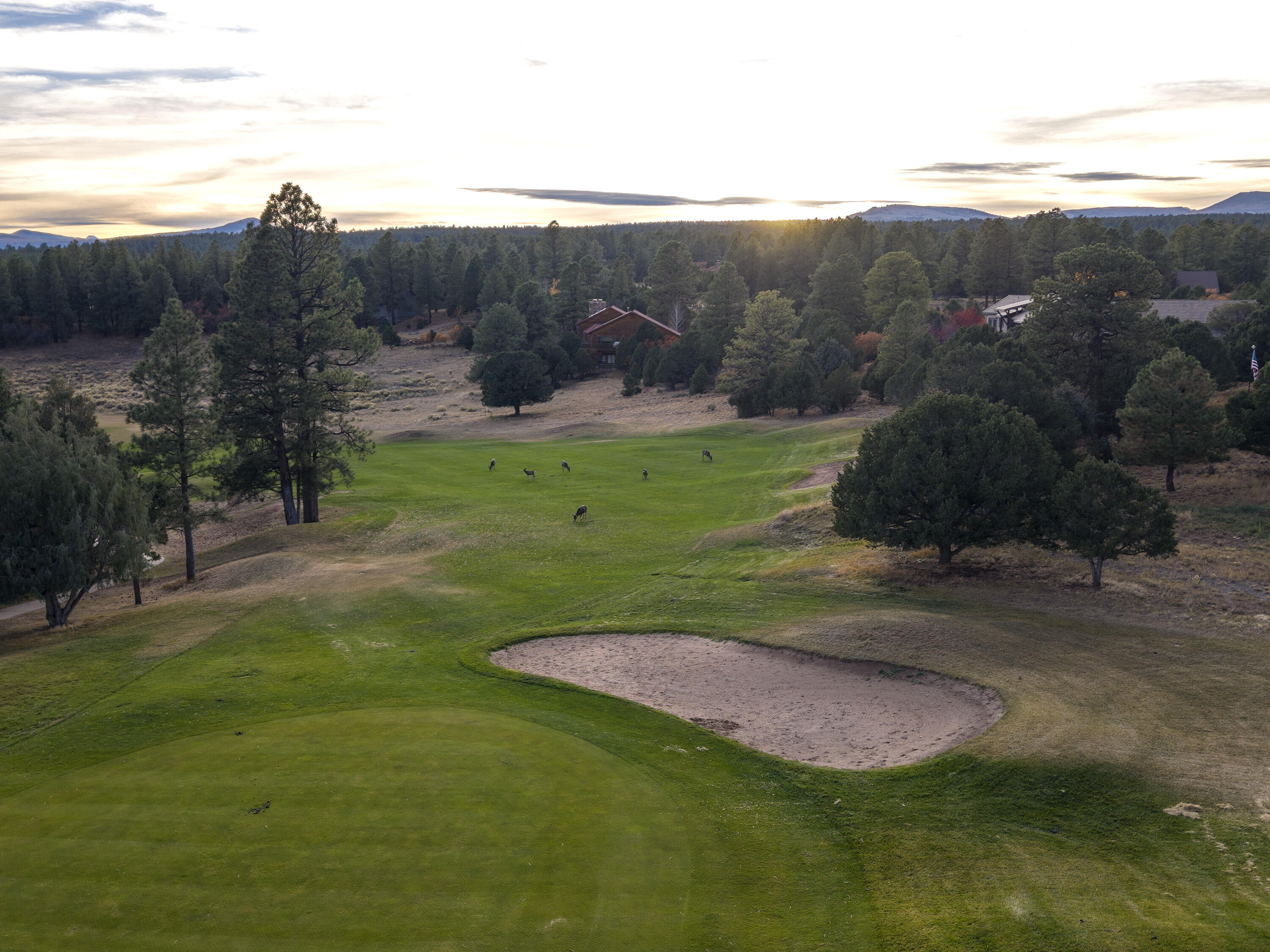 74 White Tail Lane Ridgway, CO 81432 - Photo 51 of 53 a view of a backyard with mountain