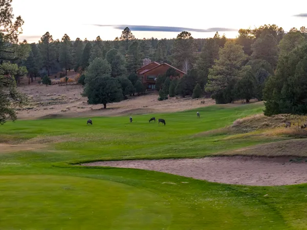 $2,100,000 | 74 White Tail Lane, Ridgway, CO 81432