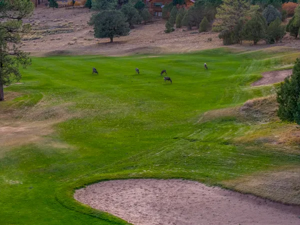 $2,100,000 | 74 White Tail Lane, Ridgway, CO 81432