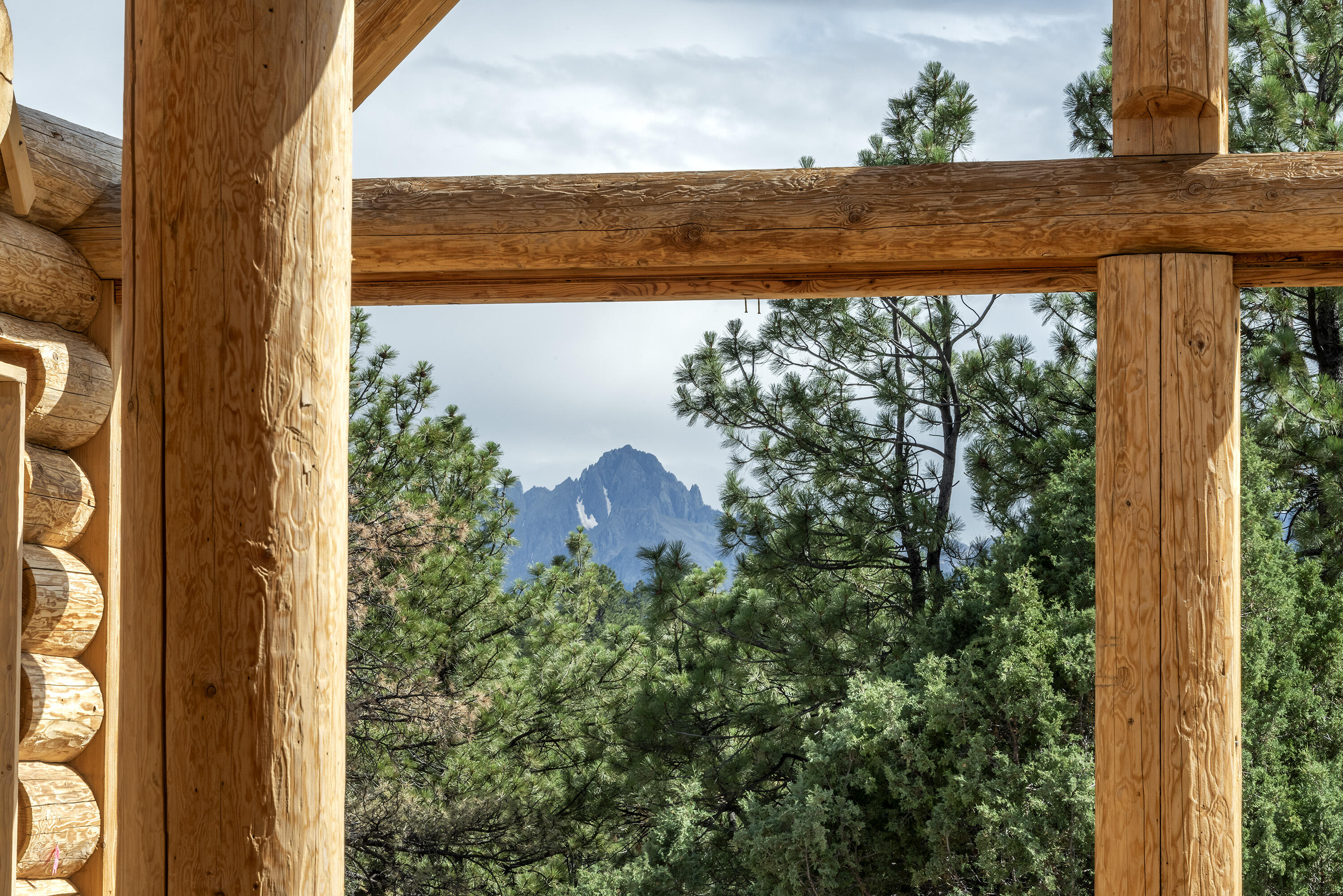 74 White Tail Lane Ridgway, CO 81432 - Photo 8 of 53 74 White Tail Lane_080924_006