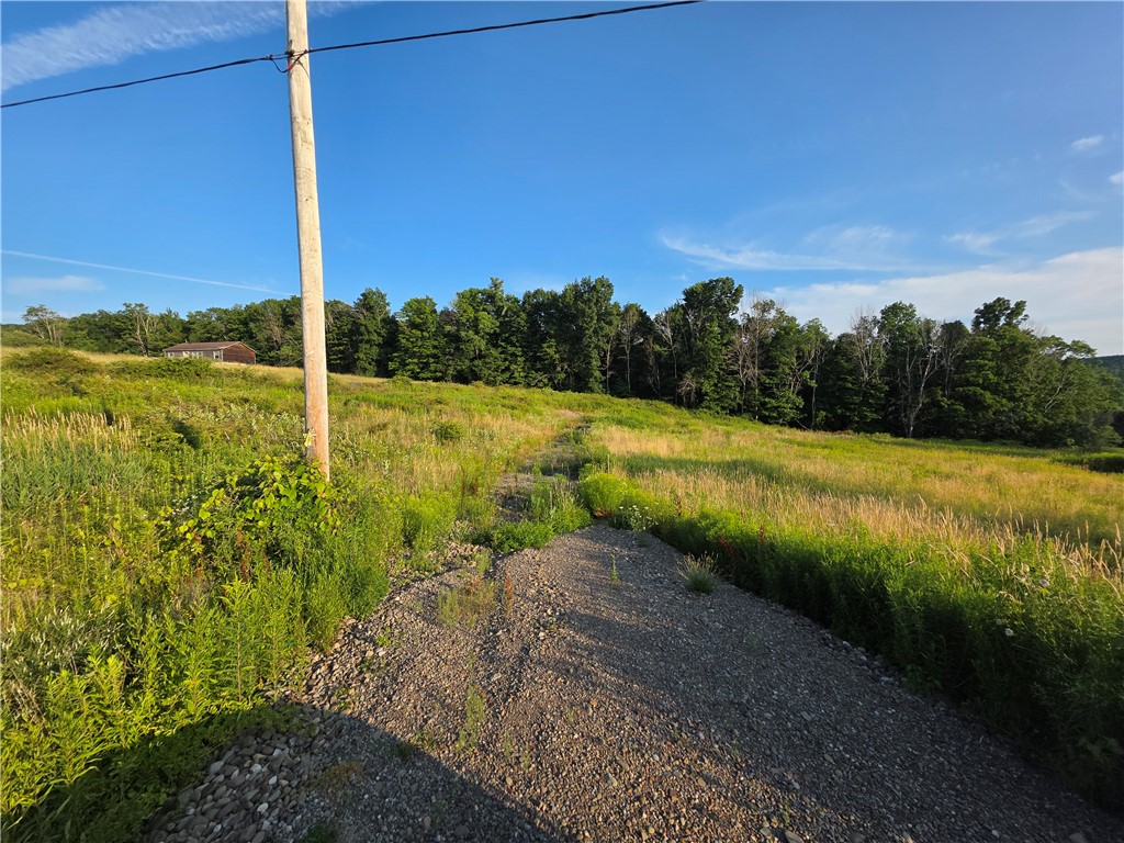 652 Ideuma Road Unadilla, NY 13849 - Photo 11 of 26