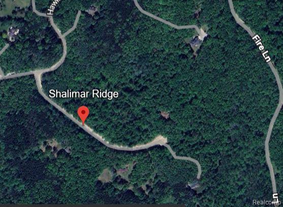 0 Shalimar Ridge Metamora, MI 48455 - Photo 3 of 3
