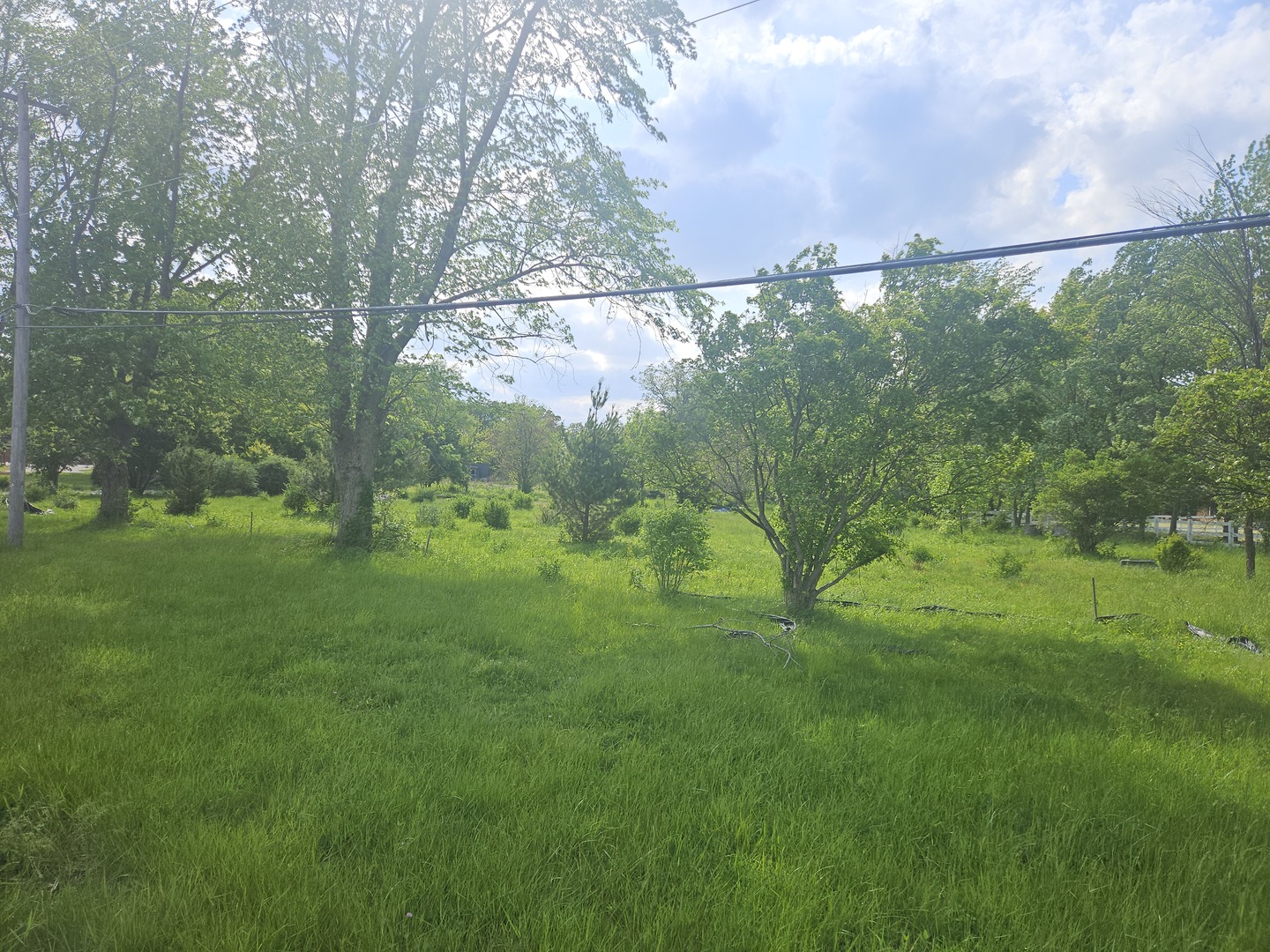24232 Kings Road Crete, IL 60417 - Photo 6 of 11 a yard with lots of green space and trees in the background