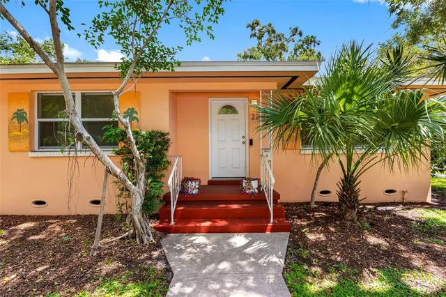 a view of a backyard with a potted plant
