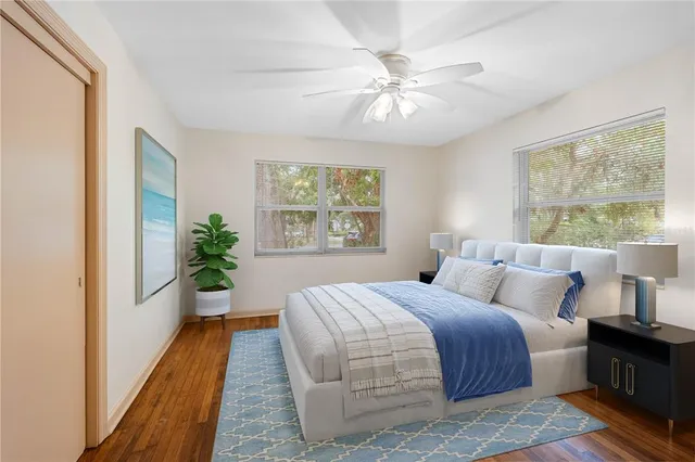 a view of a park with palm trees