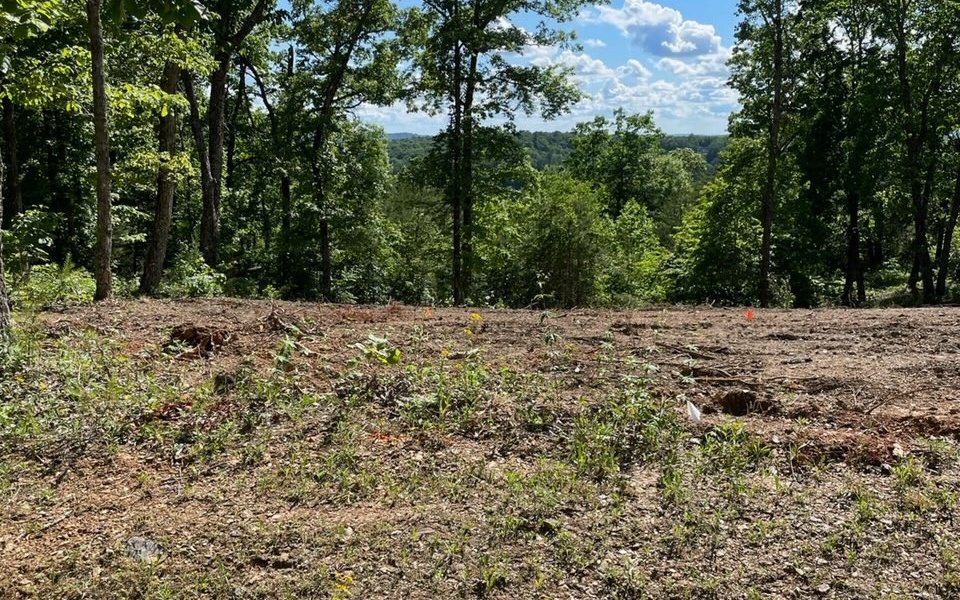 5 Ridgeline Road Jasper, GA 30143 - Photo 1 of 4 Main View