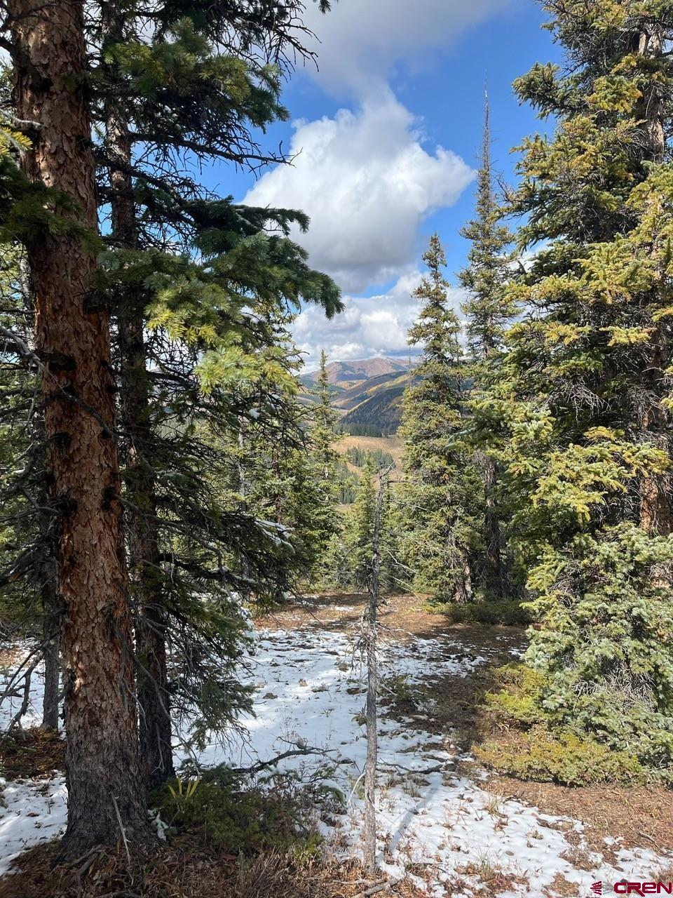 400 Forest Service Road Almont, CO 81210 - Photo 3 of 3