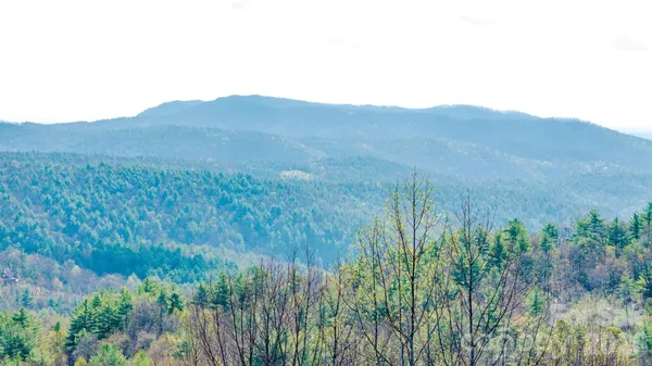 $125,000 | Lot 59-7c) Lot 59-7c) Cielo Drive, Unit 60 (6C), Purlear, NC 28665