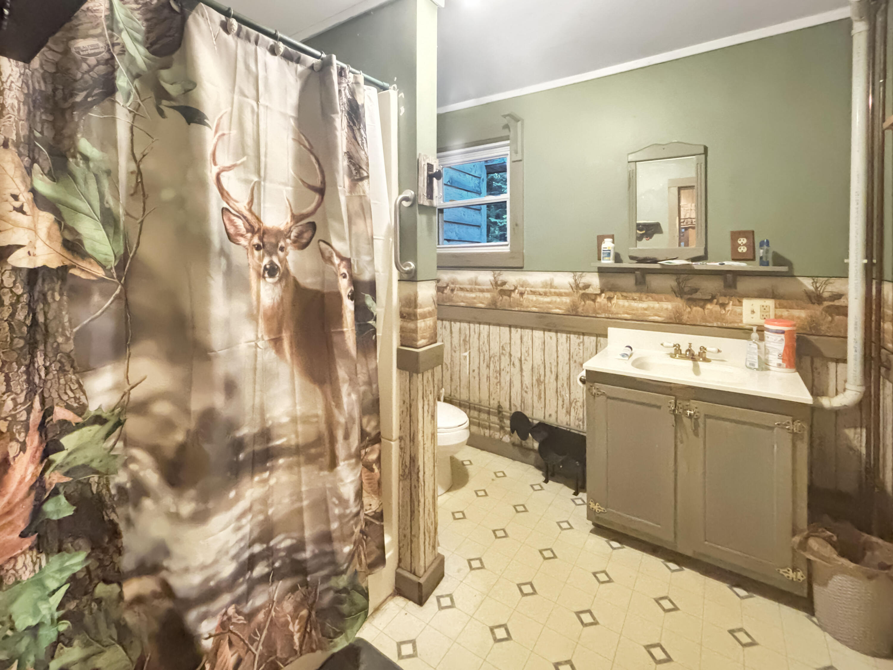 38 State Park Road Dover Foxcroft, ME 04426 - Photo 10 of 13 Bathroom