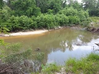 23612 Hills Road Holden, LA 70744 - Photo 10 of 12 Gallery Image 10