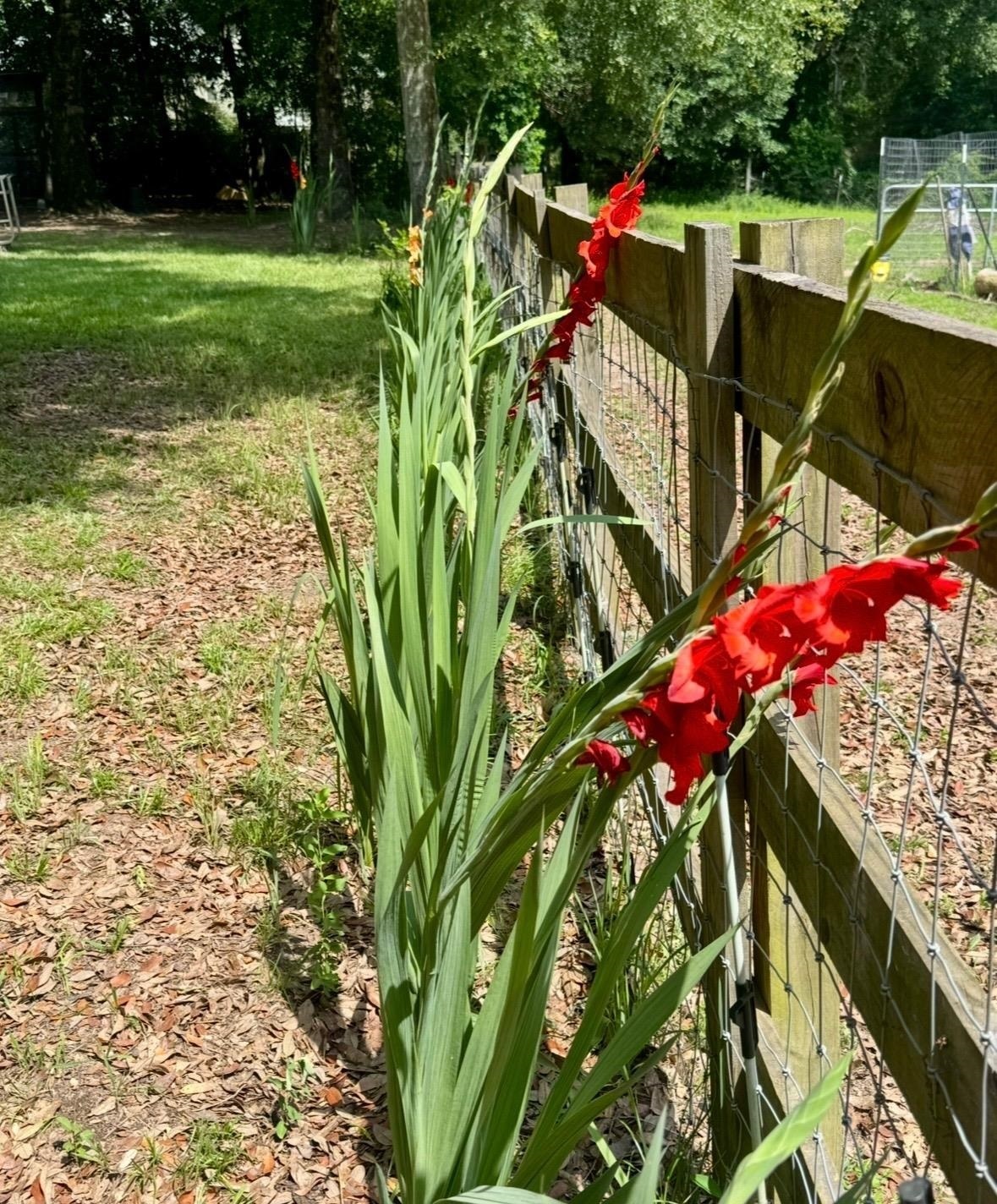 24250 River Road North Daphne, AL 36526 - Photo 67 of 80