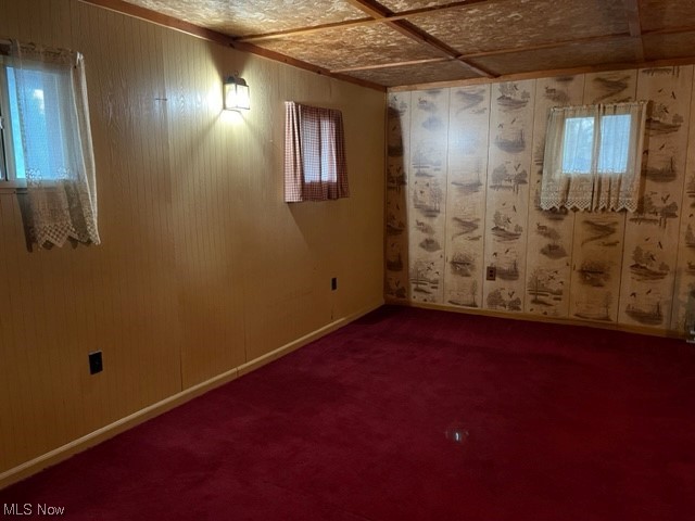 5554 St Jacobs Ridge Road Southwest Stone Creek, OH 43840 - Photo 8 of 18 Basement with dark colored carpet