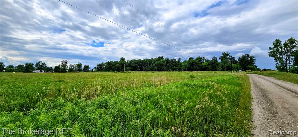0 Bowers Road Capac, MI 48014 - Photo 6 of 7