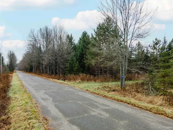 $139,000 | 200 Olson Loop, Iron River, MI 49935