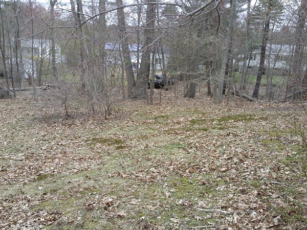 61 Davis Road Stoughton, MA 02072 - Photo 7 of 30