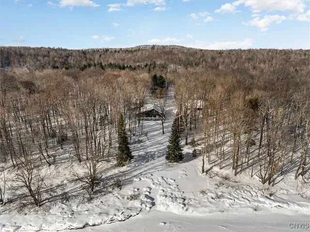 $599,000 | 1190 Moose River, Thendara, NY 13472