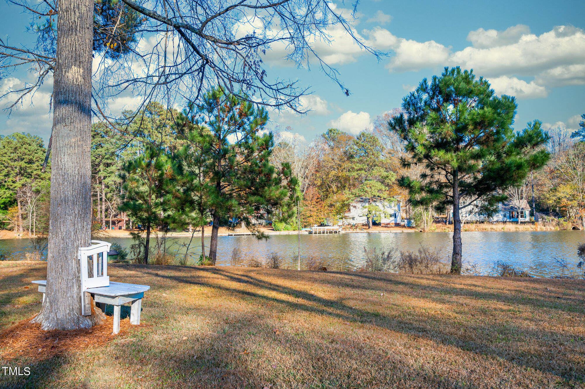 5215 Pelham Road Durham, NC 27713 - Photo 42 of 45 a view of yard with tree in the background