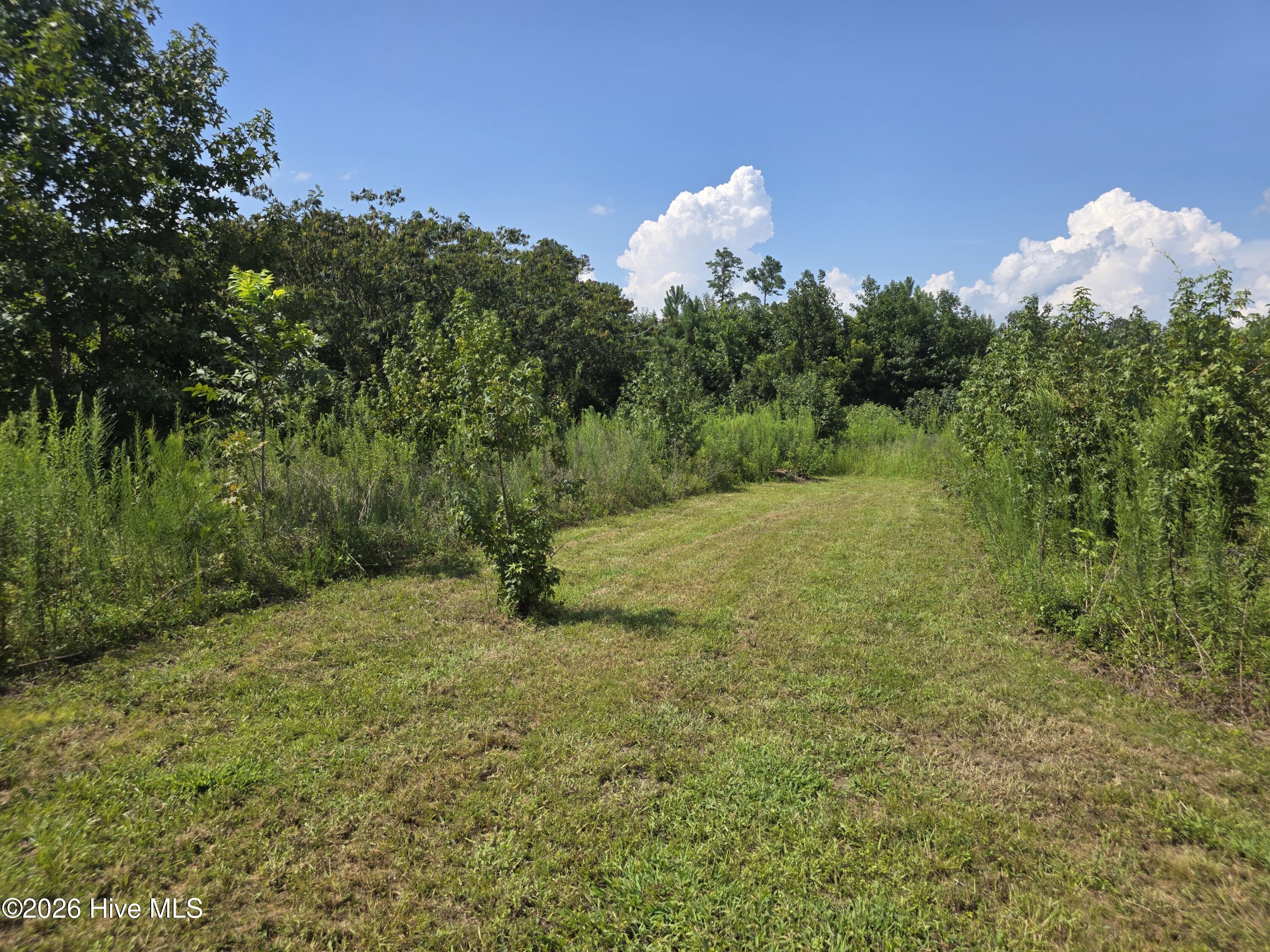 873 Pameter Road Hallsboro, NC 28442 - Photo 21 of 39 51301