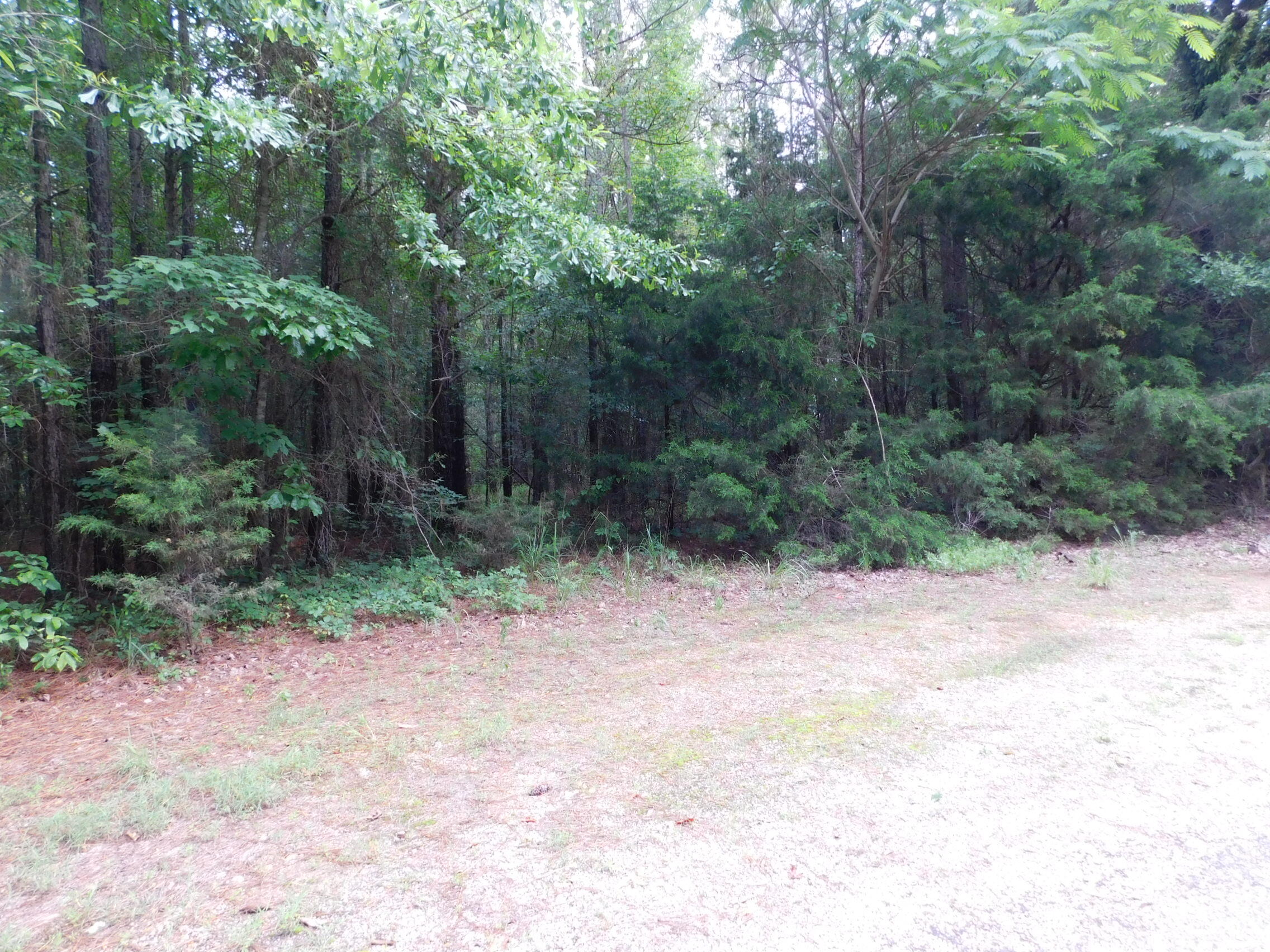 27-acres Pikeville Road Fulton, MS 38843 - Photo 7 of 7 Gallery Image 7