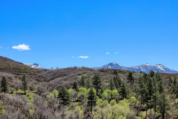 $850,000 | 1001 Soaring Eagle Court, Chromo, CO 81128