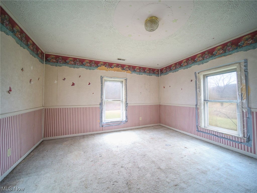 12432 Glasgow Road Southwest Port Washington, OH 43837 - Photo 16 of 31 Unfurnished room featuring light colored carpet, a textured ceiling, and plenty of natural light