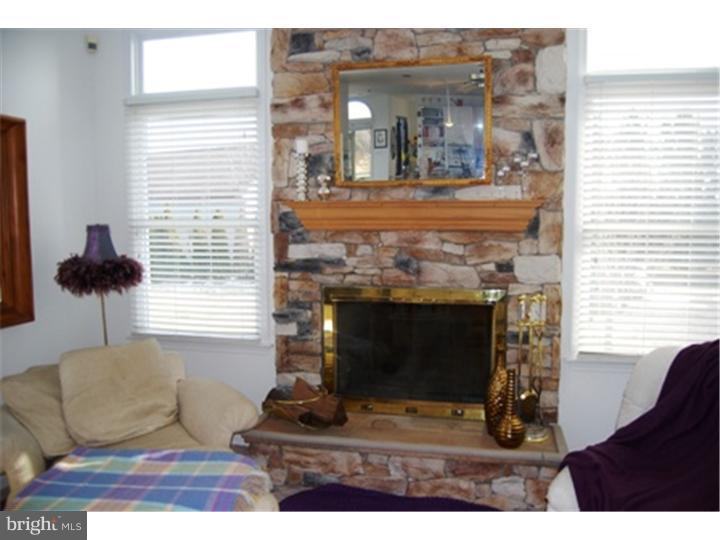 3015 Walton Road Jamison, PA 18929 - Photo 11 of 25 Fireplace