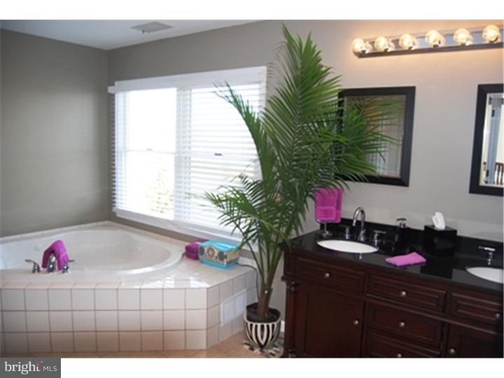 3015 Walton Road Jamison, PA 18929 - Photo 15 of 25 Master Bathroom