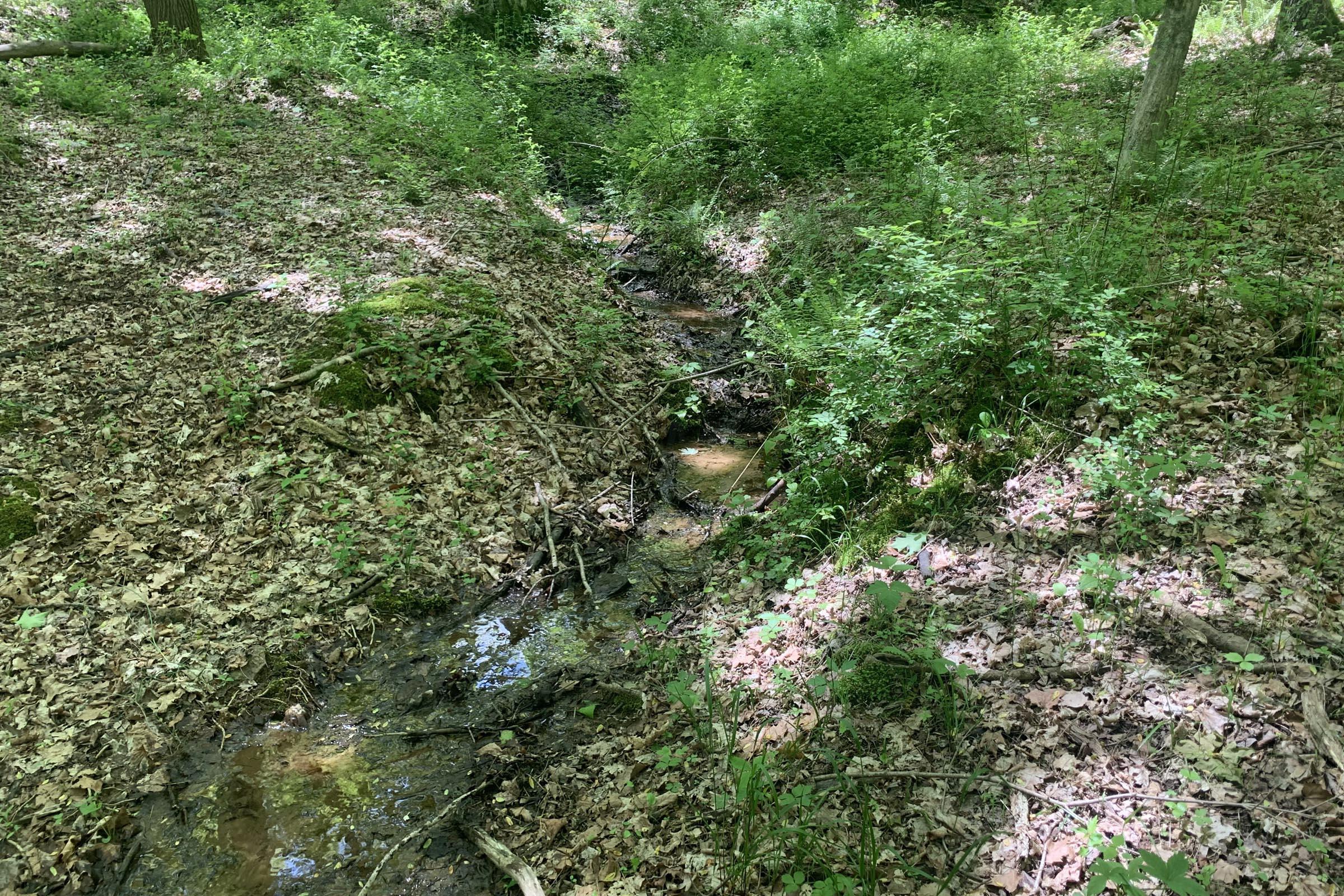 0 Tennant Road, Unit TRACT 2 Ray, OH 45672 - Photo 12 of 39 20230509_171530027_iOS