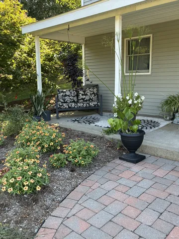 a view of a backyard with potted plants
