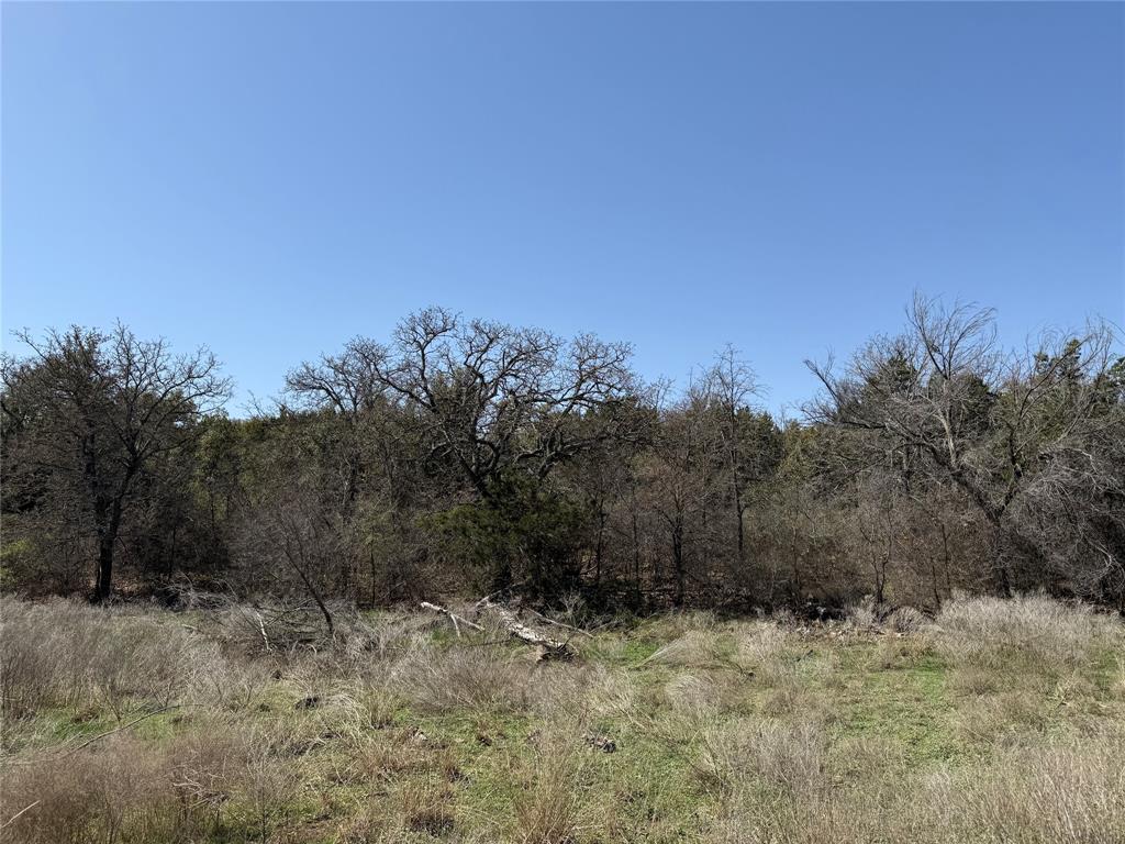 N/a N/a Wayland Ranch Ranger, TX 76470 - Photo 11 of 18