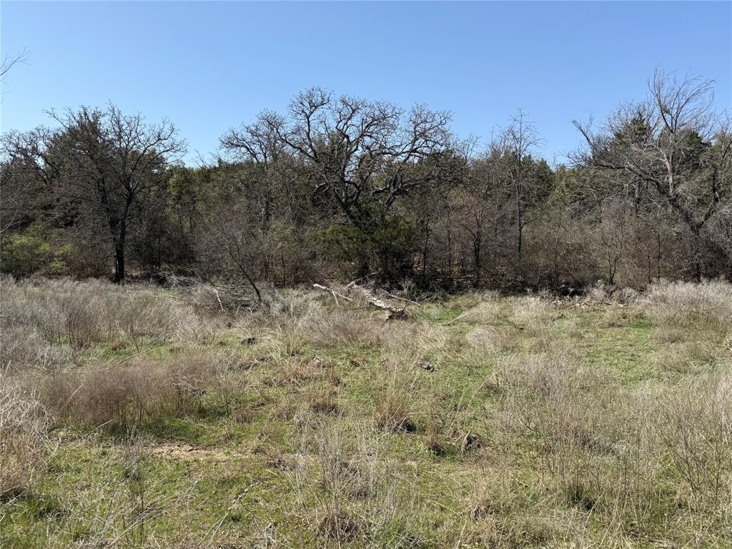 N/a N/a Wayland Ranch Ranger, TX 76470 - Photo 13 of 18