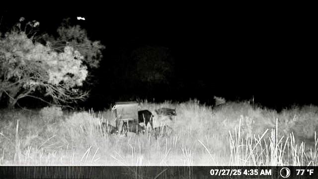 N/a N/a Wayland Ranch Ranger, TX 76470 - Photo 14 of 18