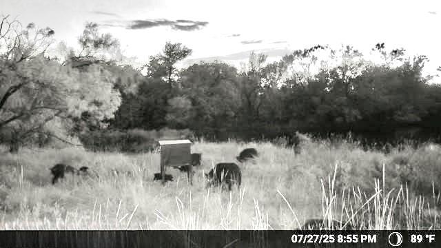 N/a N/a Wayland Ranch Ranger, TX 76470 - Photo 15 of 18