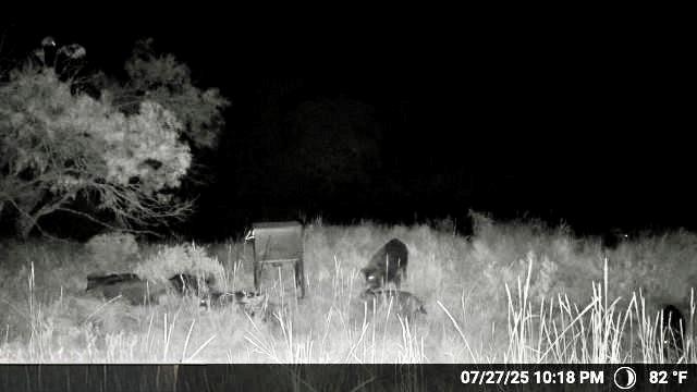 N/a N/a Wayland Ranch Ranger, TX 76470 - Photo 16 of 18