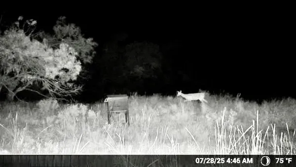 $198,000 | N/a N/a Wayland Ranch, Ranger, TX 76470