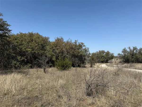 a view of a dry yard with trees
