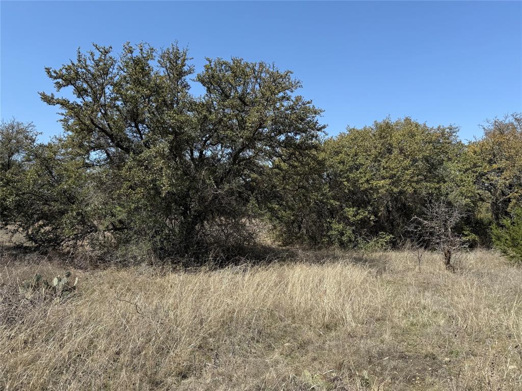 N/a N/a Wayland Ranch Ranger, TX 76470 - Photo 4 of 18