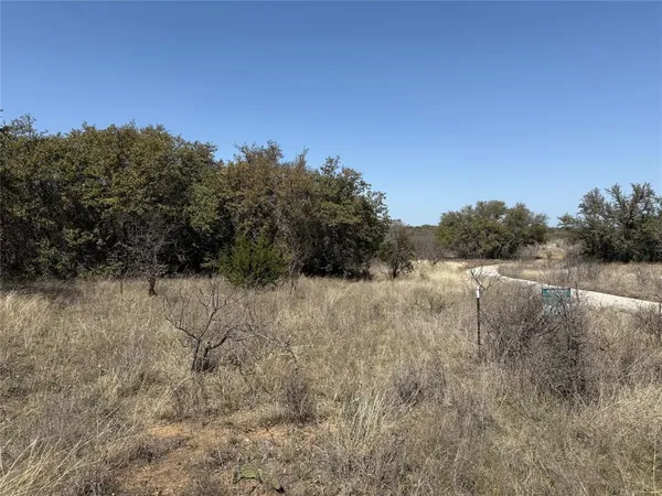 a view of a dry yard with trees