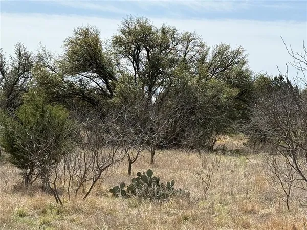 a view of a yard with trees