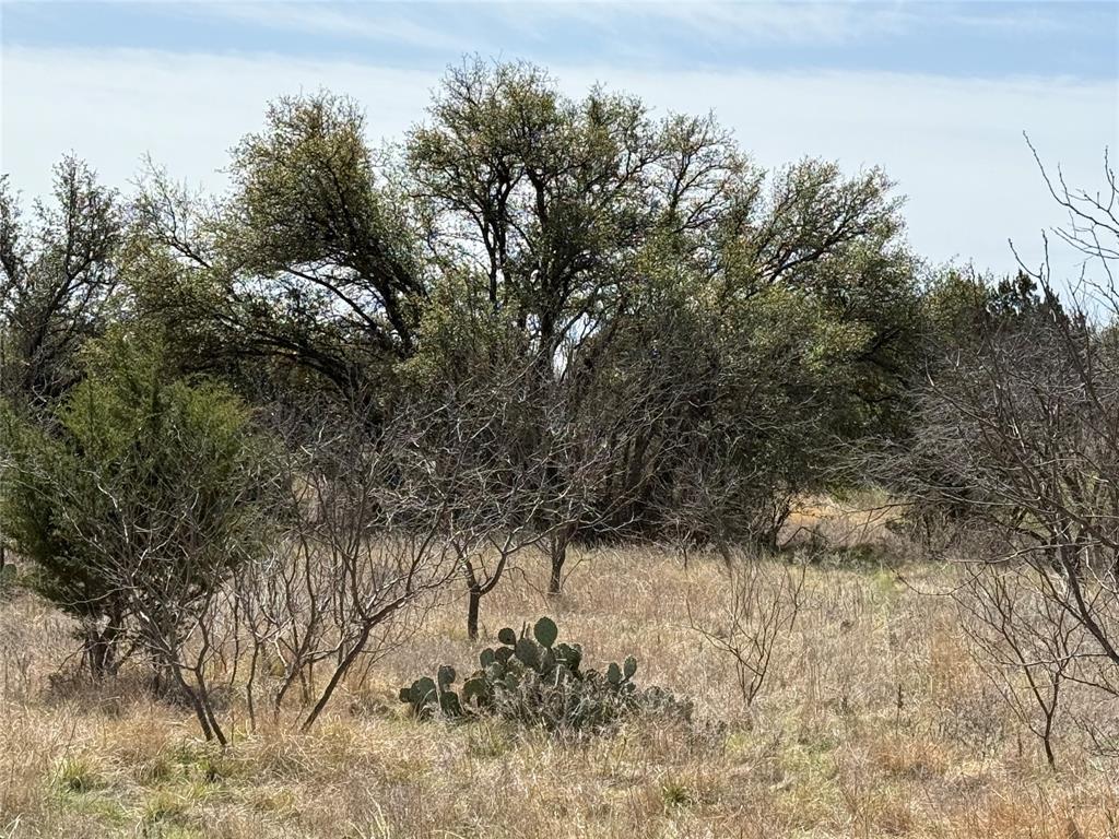 N/a N/a Wayland Ranch Ranger, TX 76470 - Photo 7 of 18