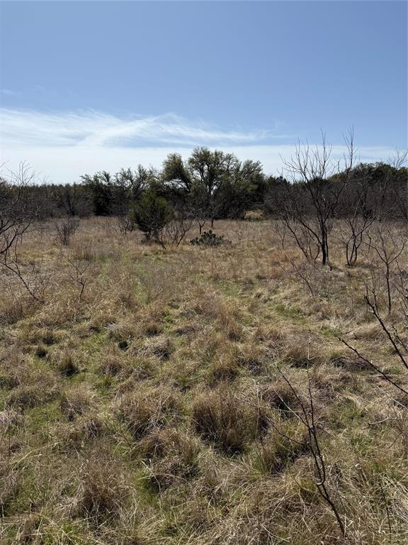 N/a N/a Wayland Ranch Ranger, TX 76470 - Photo 8 of 18